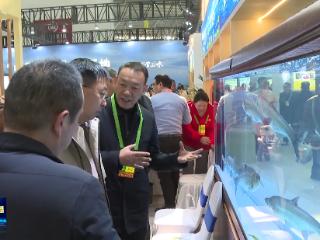 2024湖北农博会十堰特色农产品受青睐