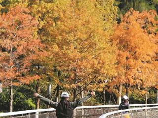 清晨“冷冻”中午“解冻” 厦门气温今日止跌回升