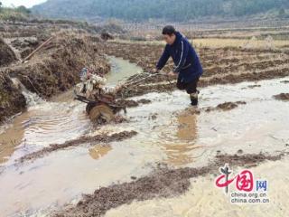 永顺县松柏镇：冬耕冬种掀热潮 产业发展促振兴