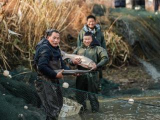 安徽和县：今年又是丰收年