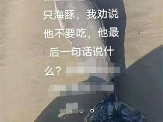 游客在海边要拖走鲸豚类动物尸体，广东惠东回应：搁浅后死亡，已进行无公害处理