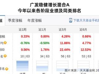 比音勒芬大跌3.79%！广发基金旗下1只基金持有