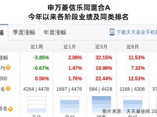 慈文传媒大跌9.93%！申万菱信基金旗下1只基金持有