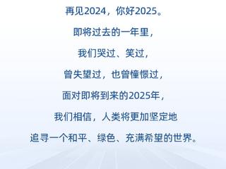 2024数看国际