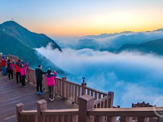 黎明时分约红叶 邂逅那片“海”