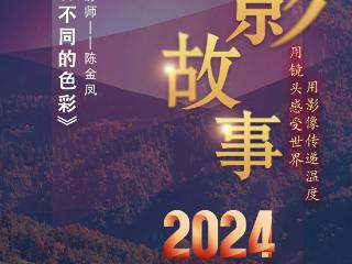 2024影像盘点 | 我的世界有不同的色彩 —摄影师 陈金凤