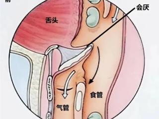 诡异的人类缺陷：吃饭时发出声音 竟会杀死自己