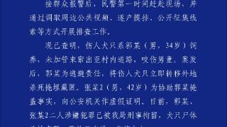 西安4岁男童遭恶犬袭击 警方通报：犬只主人被刑事拘留