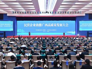 2024年民营企业助推广西高质量发展大会签约52个项目