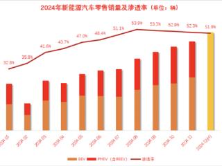 2024年终盘点：比亚迪特斯拉领衔 新能源市场表现超乎预期