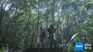 海外传播官游雨林丨艾利克斯成为“一日护林员” 体验绿水青山间绽放的美丽人生