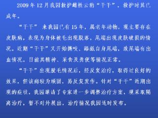 重庆动物园通报云豹“干干”情况：隔离治疗，暂不展出