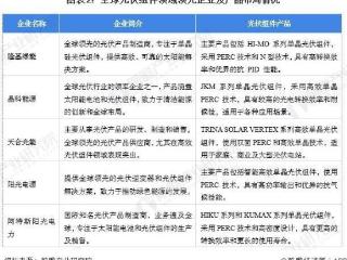 【前瞻解读】2024-2029年全球光伏组件行业企业及产品布局情况