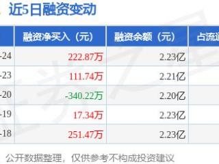 特 力Ａ：12月24日融资买入693.54万元，融资融券余额2.25亿元