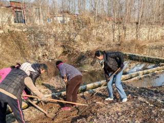 【美德信用建设】济南市莱芜区牛泉镇曹省庄村：疏通农田“活经络” 小沟渠连接“大民生”