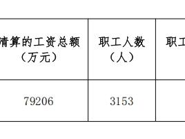 中央企业工资分配信息披露表