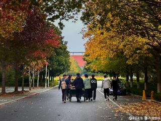 寻找山东最美大学|山东科技大学解雯静：《同行者》