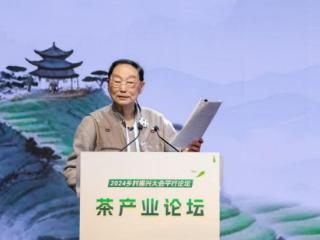 刘坚：激活茶叶消费潜力 发挥茶叶对居民消费的拉动作用