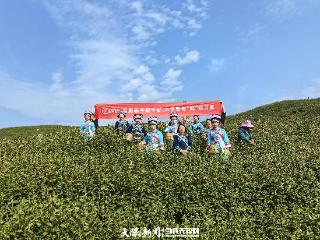 近1700万票！贵州顺丰全力护航“黔货出山”