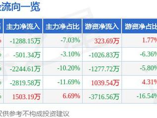 电投能源（002128）12月25日主力资金净卖出1288.15万元