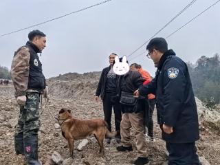 湘西公安：无人机+警犬联合行动，找回两名走失老人