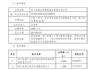 *ST金科重整 四川发展证券基金成投资人