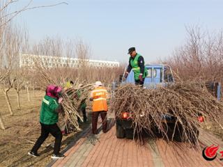 做足“绣花功夫” 垦利区城市管理局绿化精细管理 提升城市“颜值”