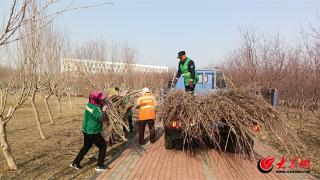 做足“绣花功夫” 垦利区城市管理局绿化精细管理 提升城市“颜值”