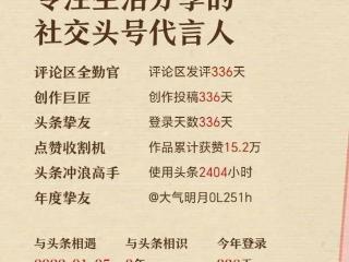 头条年报生成了，看完了觉得自己是一只勤劳的“小蜜蜂”