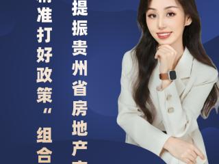 政策“组合拳” 提振房地产市场信心｜访贵州财经大学应用经济学院教授张克雯