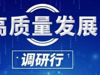 铝土矿撑起现代化工业格局｜“开发区迈向增长极”系列报道之贵州和平（苟江）经开区篇