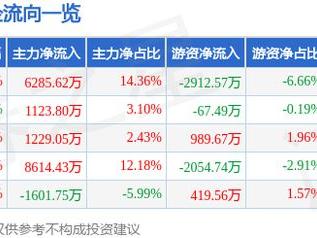 黑猫股份（002068）12月26日主力资金净买入6285.62万元