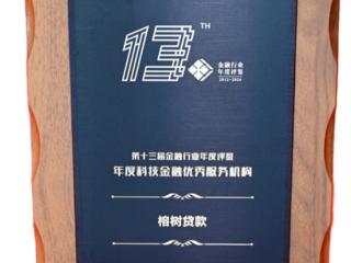 与科创之城共舞，榕树贷款荣膺2024“年度科技金融优秀服务机构”奖项