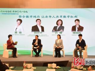 三河：举办京津冀养老协同发展研讨会 探索高质量养老新路径