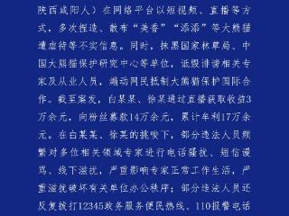 捏造、散布大熊猫遭虐待谣言 嫌疑人被依法移送起诉