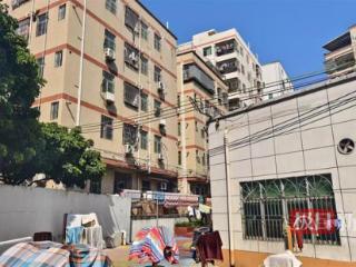 深圳夫妻生育两女后再迎四胞胎女儿：两室一厅出租屋住着一家九口，姐姐按转运珠数量区分四个妹妹