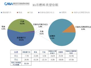 年底冲量和补贴落地 11月国内车市火爆