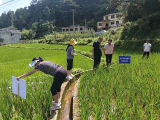 组织联建 村企联合 治理联动 ——花溪区思惹村打好党建赋能乡村振兴“组合拳”