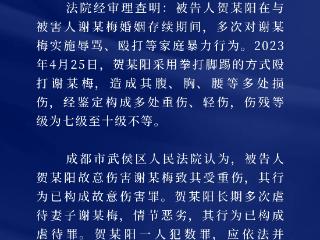 成都多次实施家暴男子一审被判处11年有期徒刑