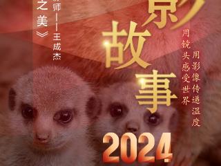 2024影像盘点 | 捕捉自然之美 —摄影师 王成杰