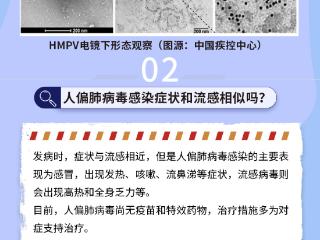 长图新闻｜和流感相似？HMPV来势汹汹普遍易感！