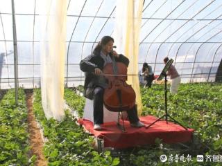 让爱似草莓般甜蜜！济南南部山区草莓音乐节成功举办