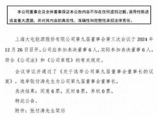 大型能源企业，董事长任职