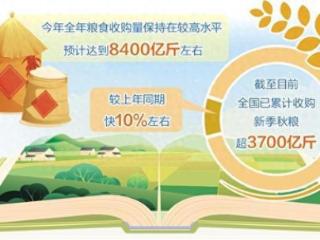 全年粮食收购预计达8400亿斤左右——做好粮食流通大文章