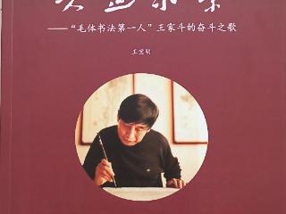 大道求索：王家斗六十年如一日潜心研究毛体书法