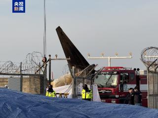 持续更新｜最终确认179人遇难 韩国失事客机仅2人幸存