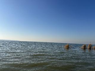 第十届高邮湖干塘旅游节盛大启幕，冬日水乡尽显民俗野趣