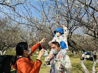 横跨三大佳节，2025萝岗香雪文化季融合科技与传统文化