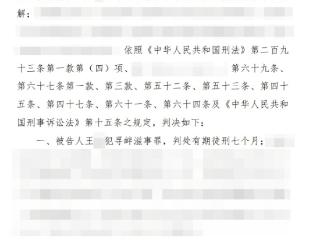 编造理想MEGA车内摄像头拍摄色情图片：一男子获刑7个月