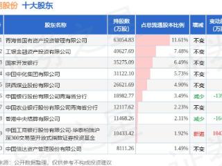 12月30日盐湖股份发布公告，其股东增持10865.8万股